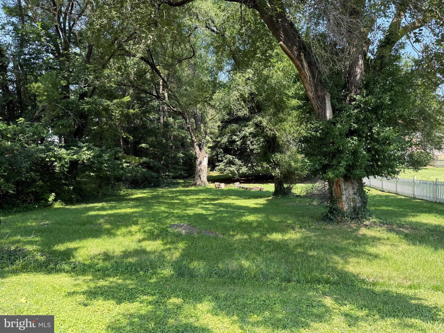 LOT 1 S MAIN ST, WOODSTOCK, Virginia 22664, ,Land,For sale,LOT 1 S MAIN ST,VASH2011934 MLS # VASH2011934