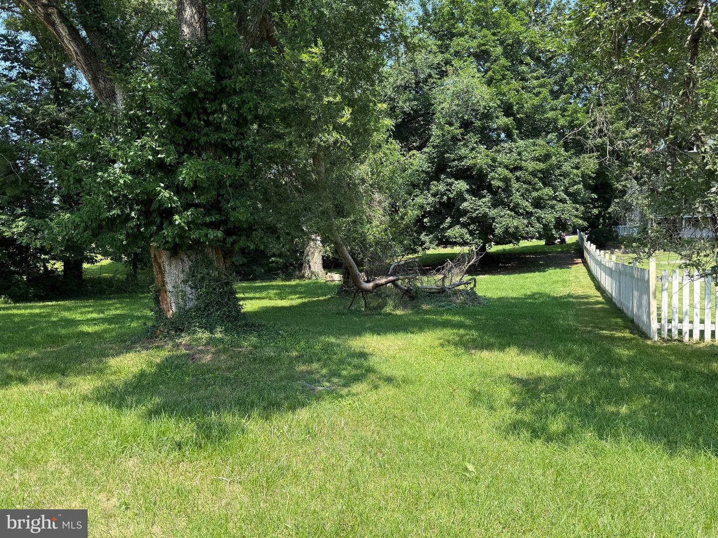 LOT 1 S MAIN ST, WOODSTOCK, Virginia 22664, ,Land,For sale,LOT 1 S MAIN ST,VASH2011934 MLS # VASH2011934