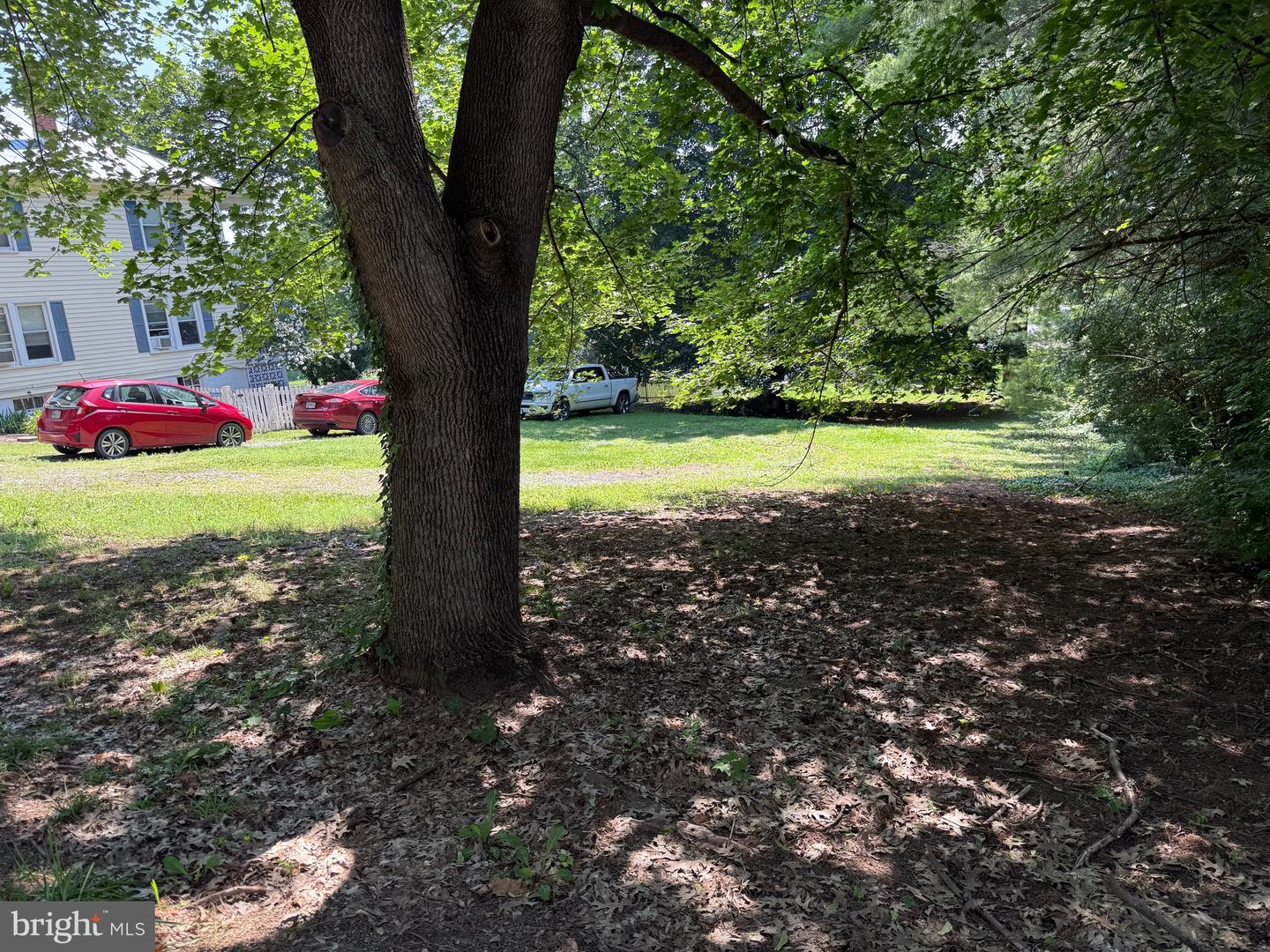 LOT 1 S MAIN ST, WOODSTOCK, Virginia 22664, ,Land,For sale,LOT 1 S MAIN ST,VASH2011934 MLS # VASH2011934