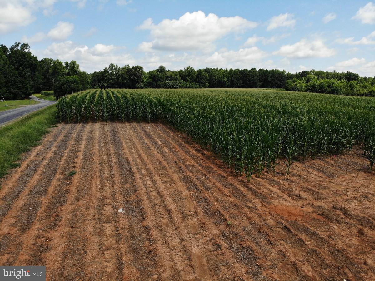 FISH RD, EMPORIA, Virginia 23847, ,Land,For sale,FISH RD,VAGE2000014 MLS # VAGE2000014