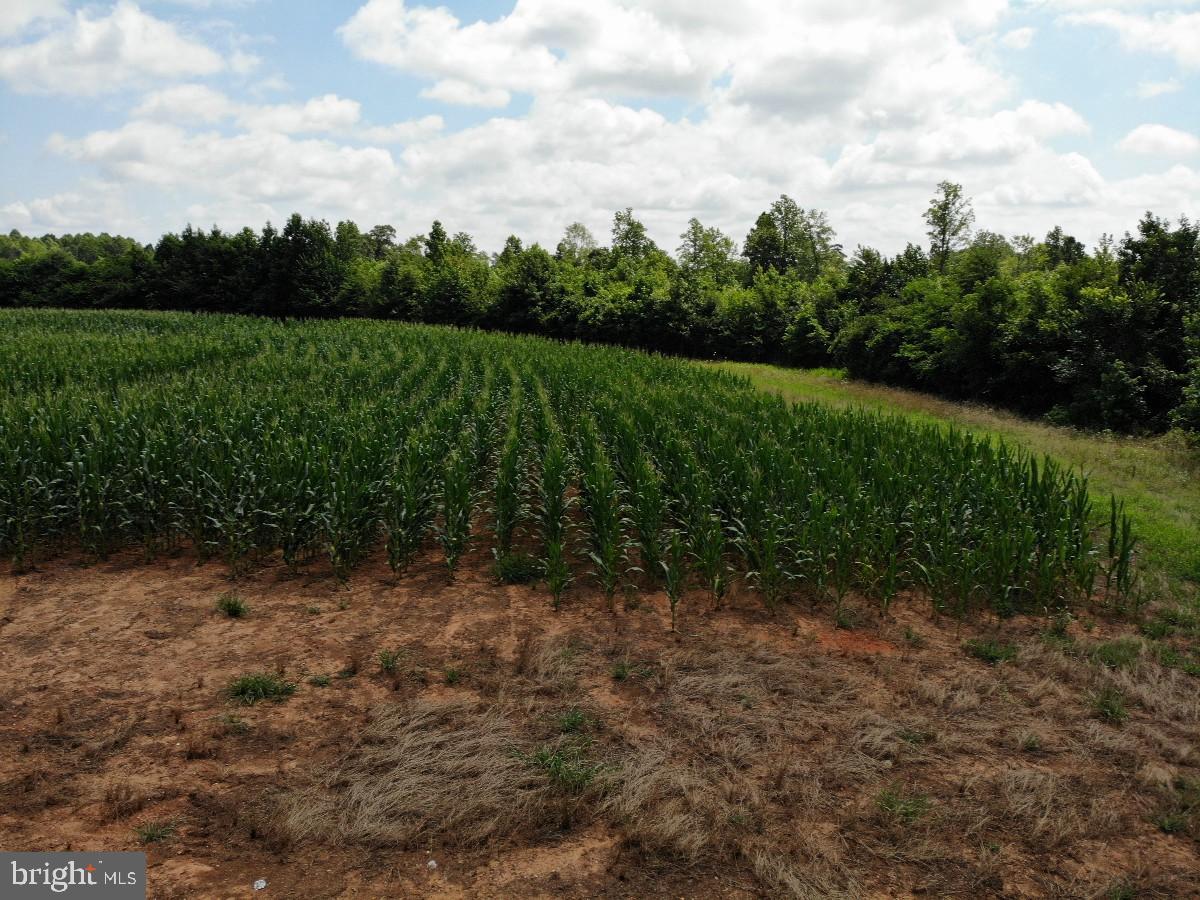 FISH RD, EMPORIA, Virginia 23847, ,Land,For sale,FISH RD,VAGE2000014 MLS # VAGE2000014