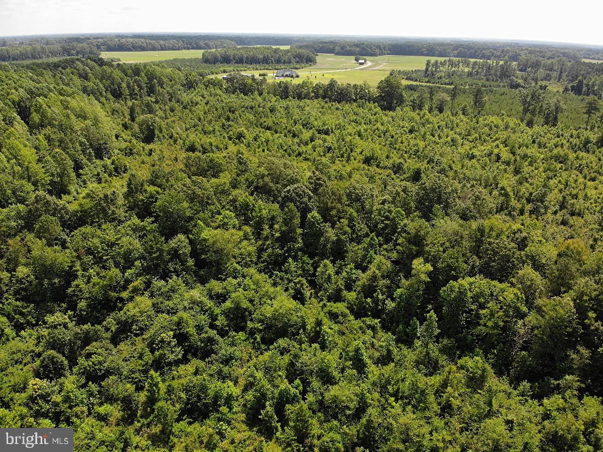 FISH RD, EMPORIA, Virginia 23847, ,Land,For sale,FISH RD,VAGE2000014 MLS # VAGE2000014
