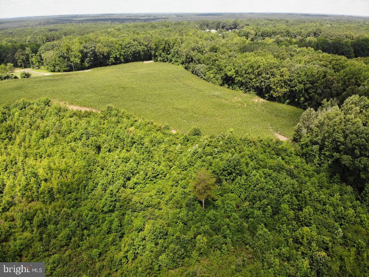 FISH RD, EMPORIA, Virginia 23847, ,Land,For sale,FISH RD,VAGE2000014 MLS # VAGE2000014