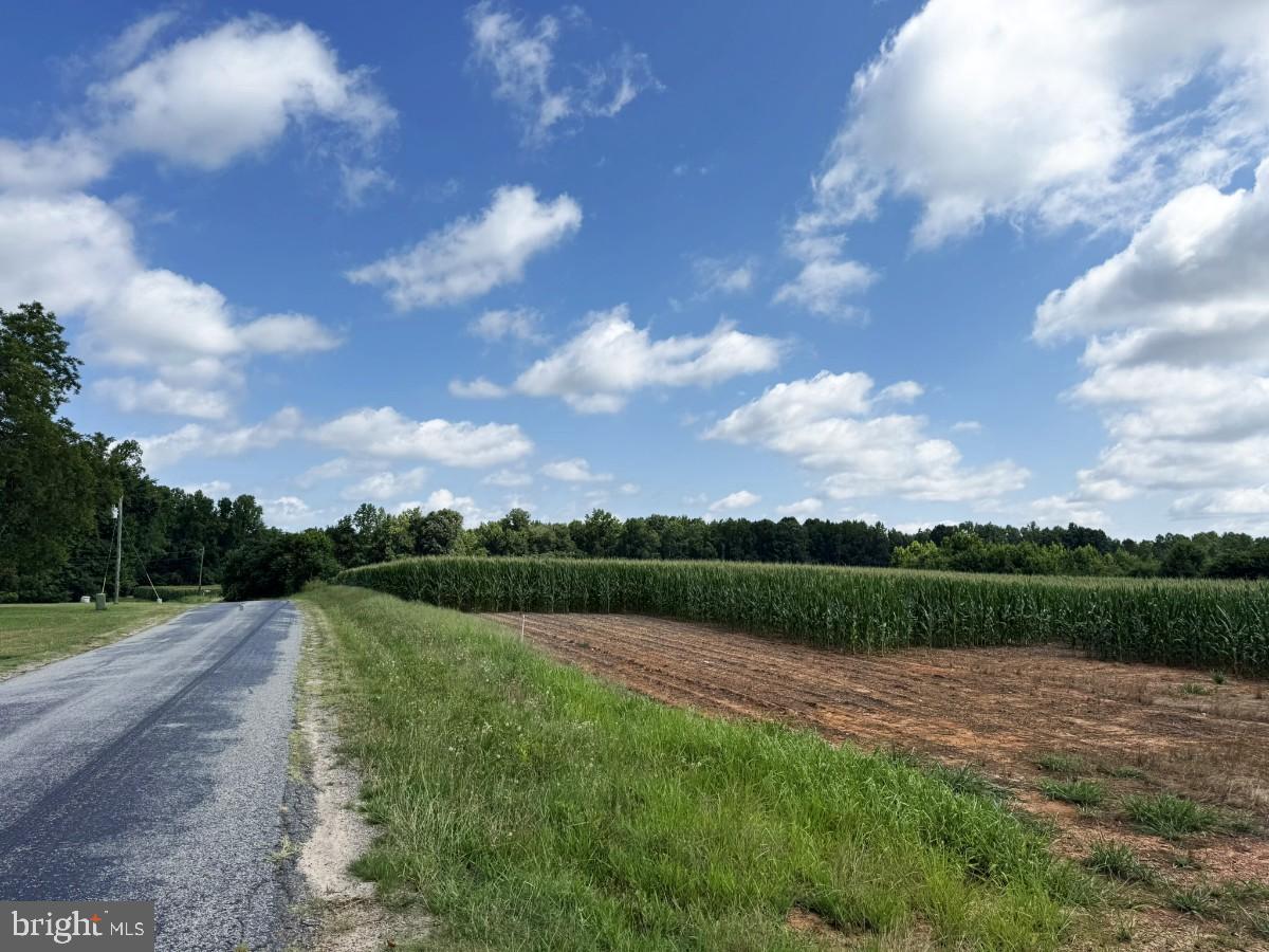 FISH RD, EMPORIA, Virginia 23847, ,Land,For sale,FISH RD,VAGE2000014 MLS # VAGE2000014