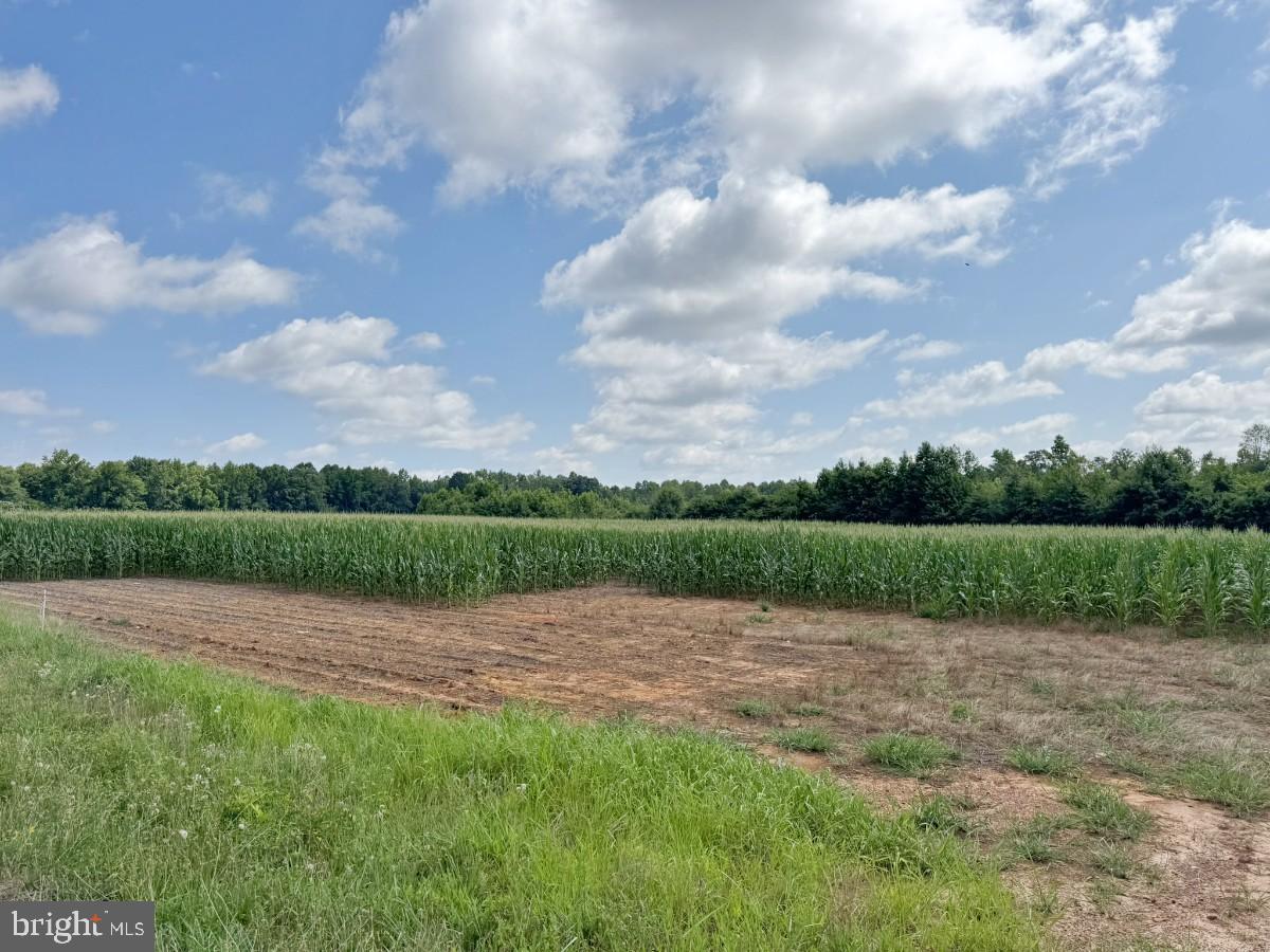 FISH RD, EMPORIA, Virginia 23847, ,Land,For sale,FISH RD,VAGE2000014 MLS # VAGE2000014