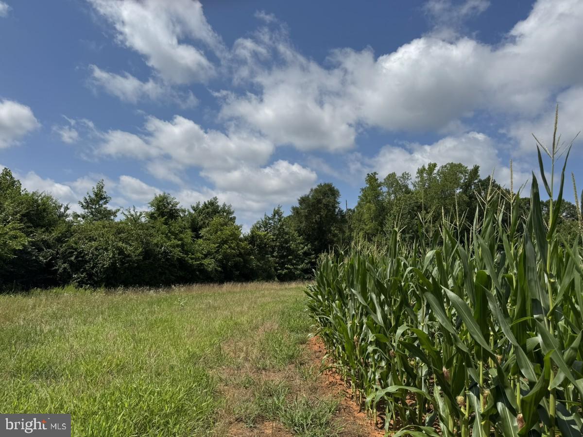 FISH RD, EMPORIA, Virginia 23847, ,Land,For sale,FISH RD,VAGE2000014 MLS # VAGE2000014