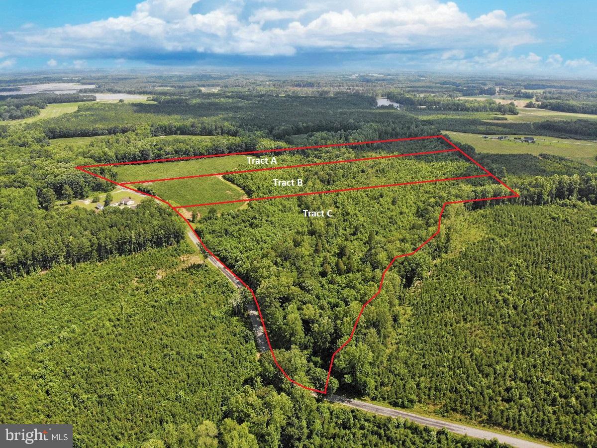 FISH RD, EMPORIA, Virginia 23847, ,Land,For sale,FISH RD,VAGE2000014 MLS # VAGE2000014