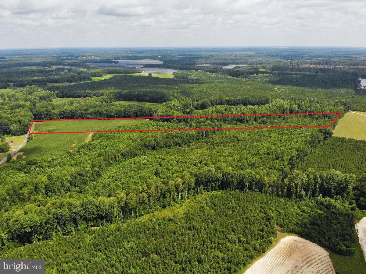 FISH RD, EMPORIA, Virginia 23847, ,Land,For sale,FISH RD,VAGE2000014 MLS # VAGE2000014