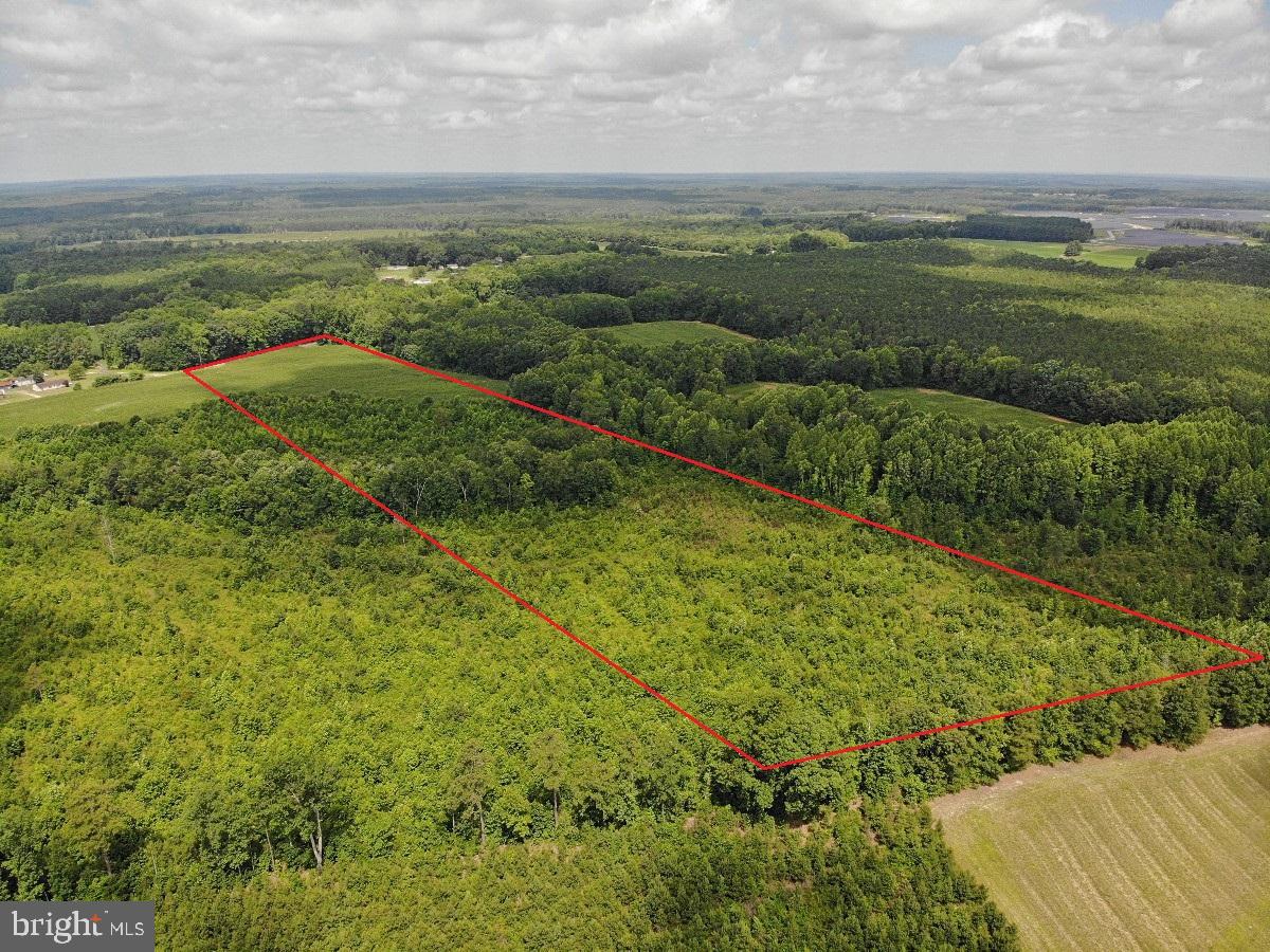 FISH RD, EMPORIA, Virginia 23847, ,Land,For sale,FISH RD,VAGE2000014 MLS # VAGE2000014