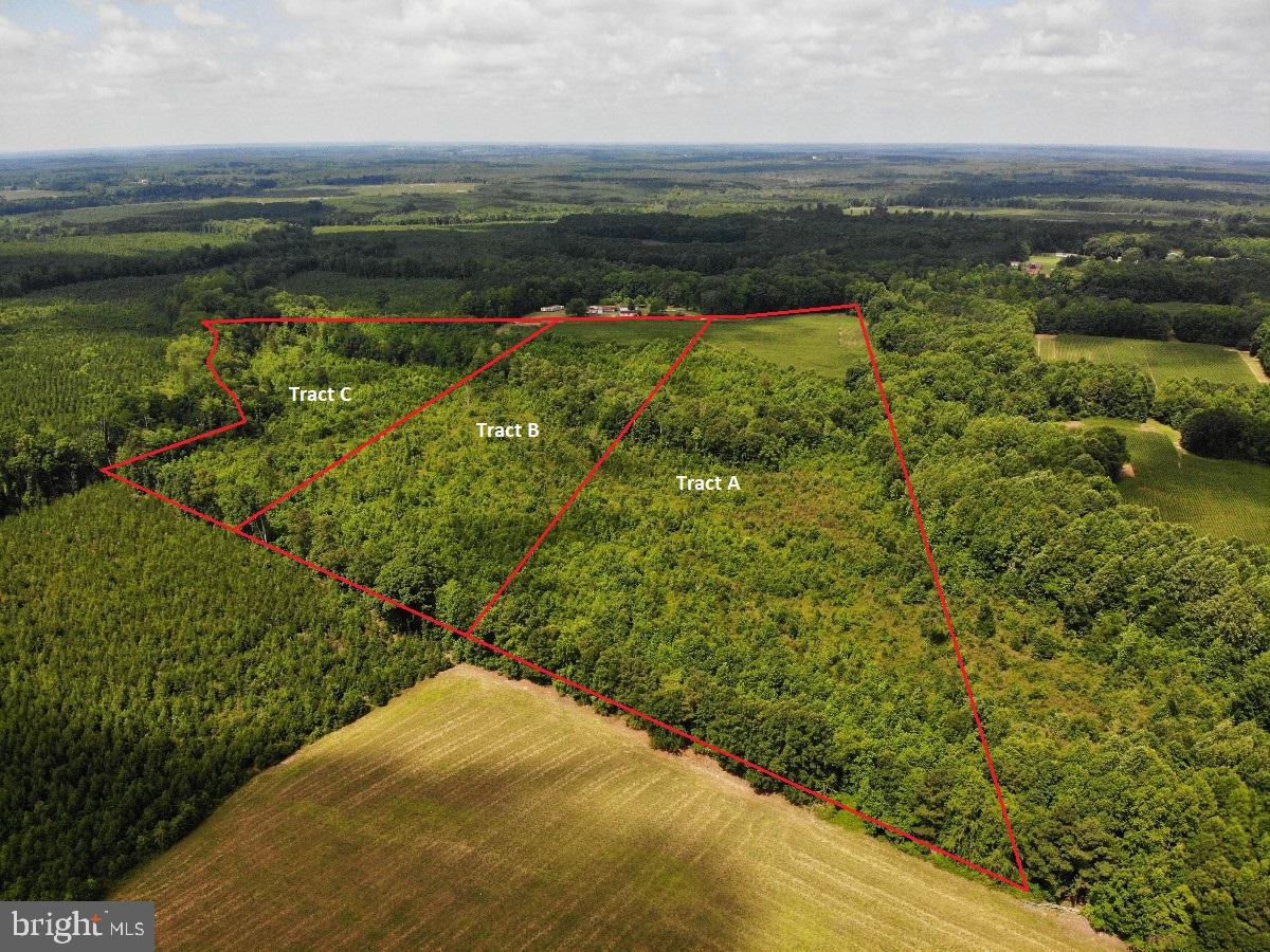FISH RD, EMPORIA, Virginia 23847, ,Land,For sale,FISH RD,VAGE2000014 MLS # VAGE2000014
