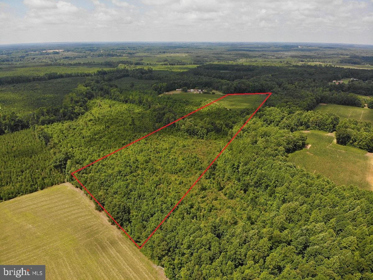 FISH RD, EMPORIA, Virginia 23847, ,Land,For sale,FISH RD,VAGE2000014 MLS # VAGE2000014
