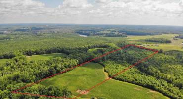 FISH RD, EMPORIA, Virginia 23847, ,Land,For sale,FISH RD,VAGE2000014 MLS # VAGE2000014