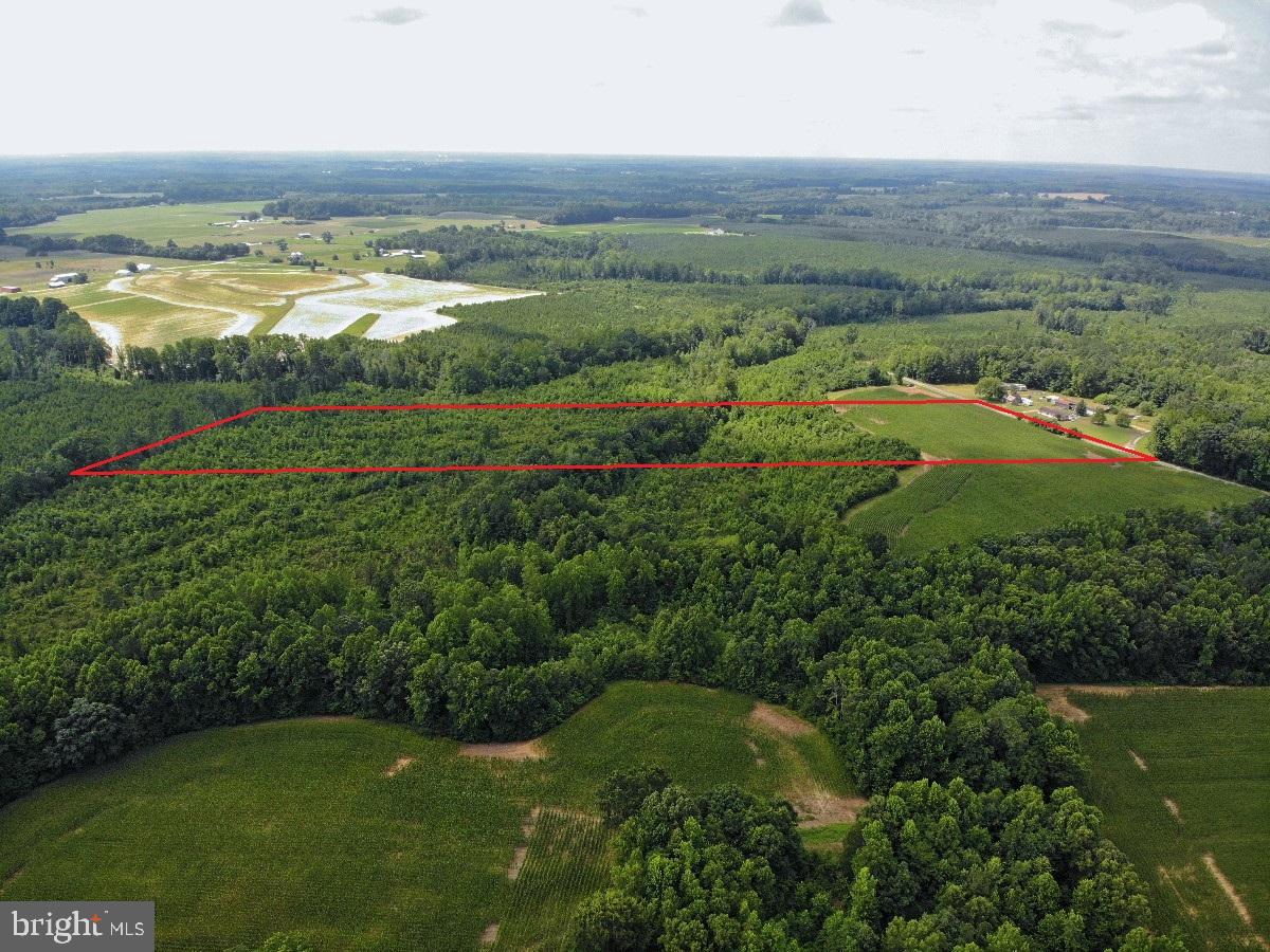 FISH RD, EMPORIA, Virginia 23847, ,Land,For sale,FISH RD,VAGE2000016 MLS # VAGE2000016