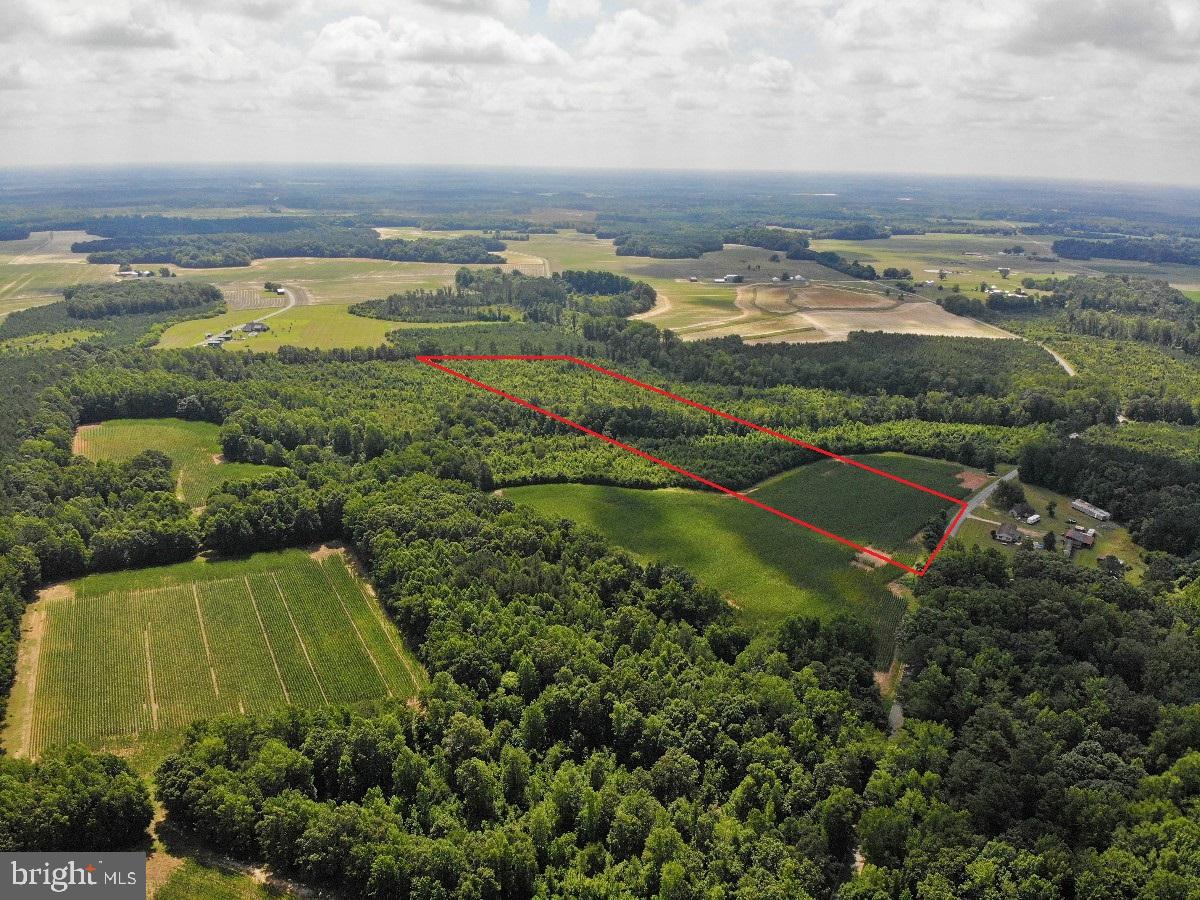 FISH RD, EMPORIA, Virginia 23847, ,Land,For sale,FISH RD,VAGE2000016 MLS # VAGE2000016