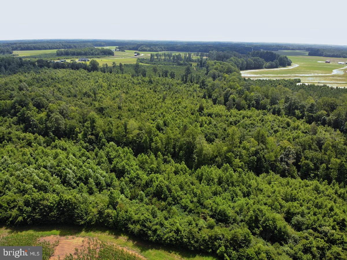 FISH RD, EMPORIA, Virginia 23847, ,Land,For sale,FISH RD,VAGE2000016 MLS # VAGE2000016