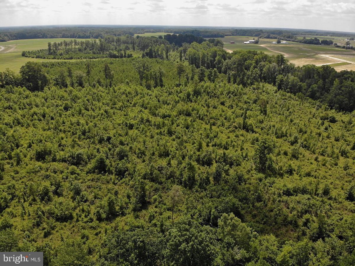FISH RD, EMPORIA, Virginia 23847, ,Land,For sale,FISH RD,VAGE2000016 MLS # VAGE2000016