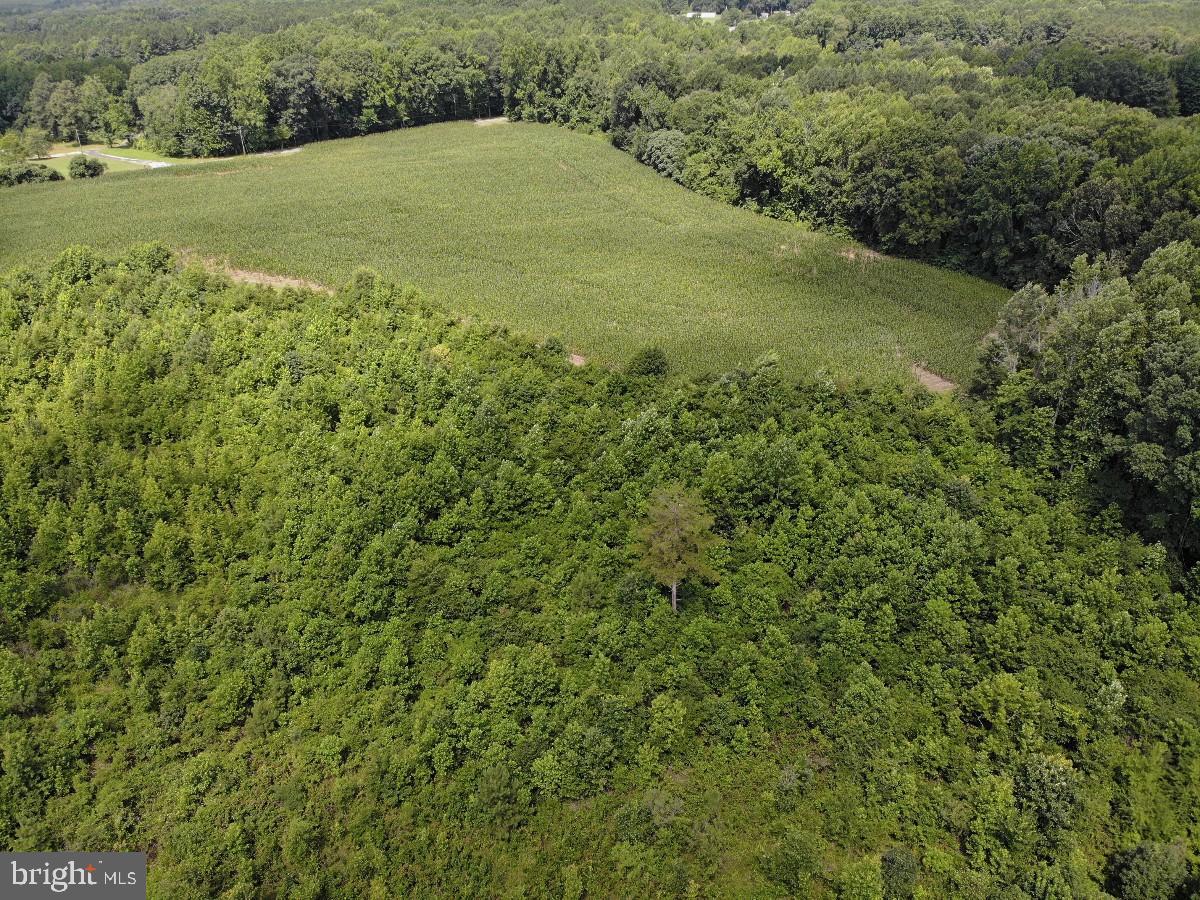FISH RD, EMPORIA, Virginia 23847, ,Land,For sale,FISH RD,VAGE2000016 MLS # VAGE2000016