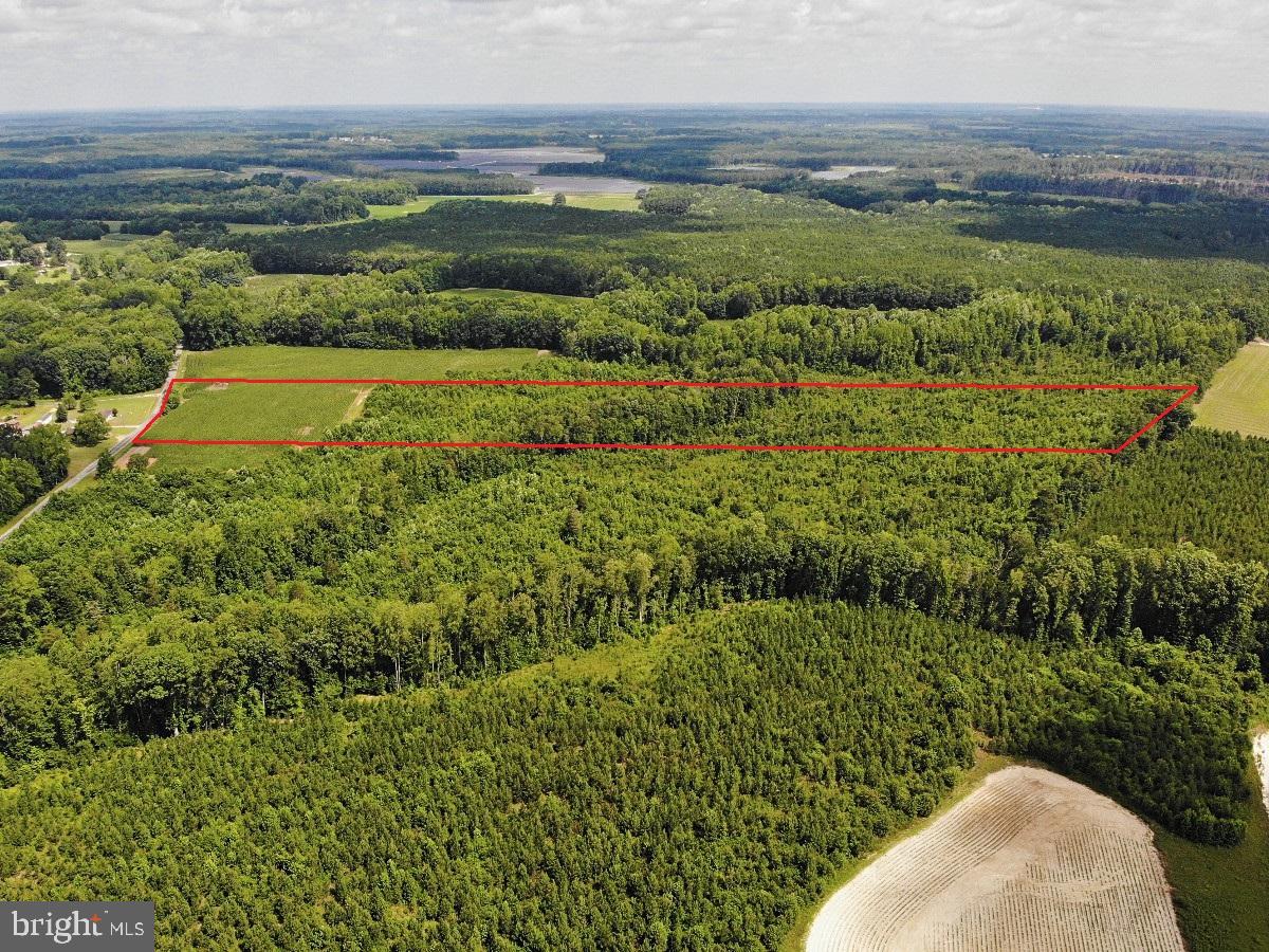 FISH RD, EMPORIA, Virginia 23847, ,Land,For sale,FISH RD,VAGE2000016 MLS # VAGE2000016