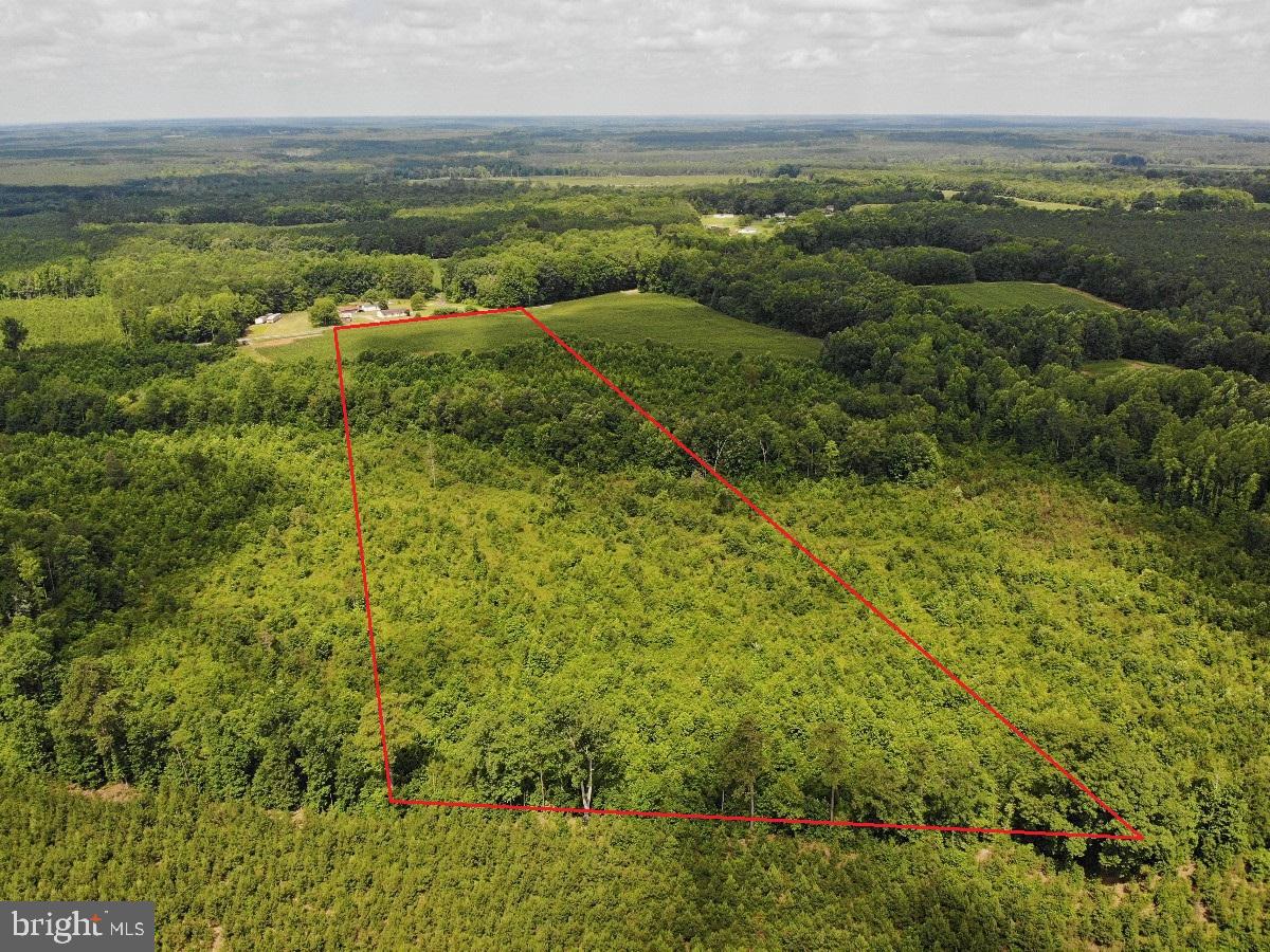 FISH RD, EMPORIA, Virginia 23847, ,Land,For sale,FISH RD,VAGE2000016 MLS # VAGE2000016