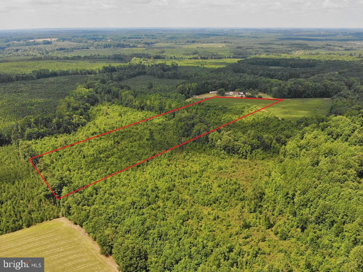 FISH RD, EMPORIA, Virginia 23847, ,Land,For sale,FISH RD,VAGE2000016 MLS # VAGE2000016