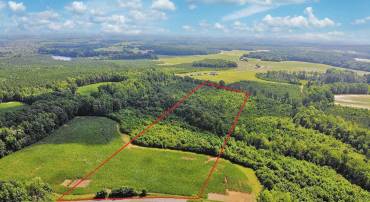 FISH RD, EMPORIA, Virginia 23847, ,Land,For sale,FISH RD,VAGE2000016 MLS # VAGE2000016