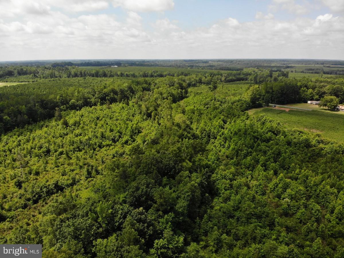 0 FISH RD, EMPORIA, Virginia 23847, ,Land,For sale,0 FISH RD,VAGE2000018 MLS # VAGE2000018