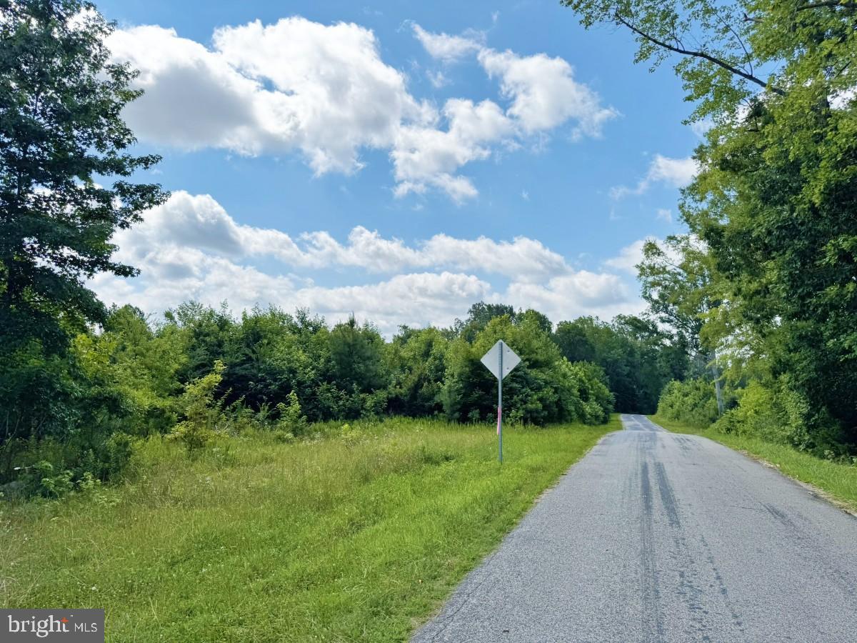 0 FISH RD, EMPORIA, Virginia 23847, ,Land,For sale,0 FISH RD,VAGE2000018 MLS # VAGE2000018