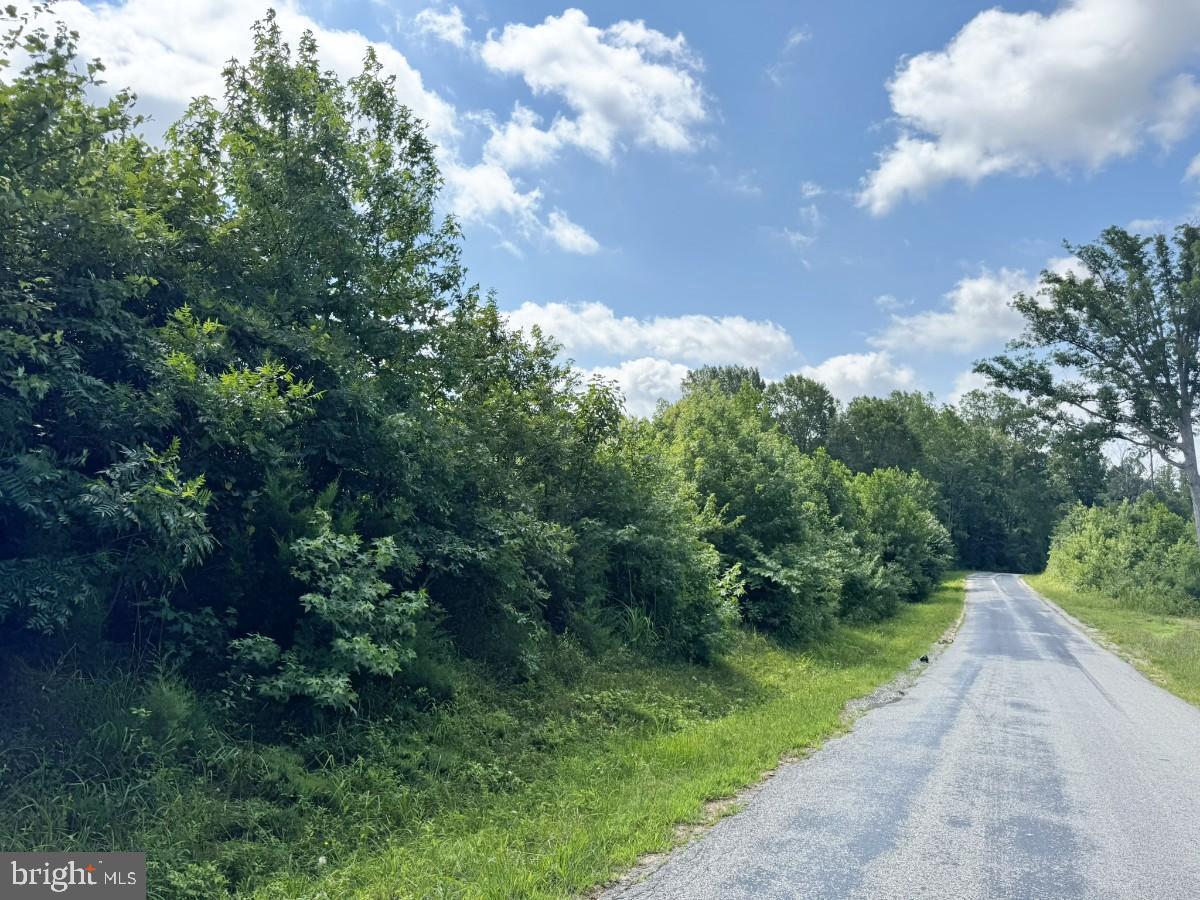 0 FISH RD, EMPORIA, Virginia 23847, ,Land,For sale,0 FISH RD,VAGE2000018 MLS # VAGE2000018