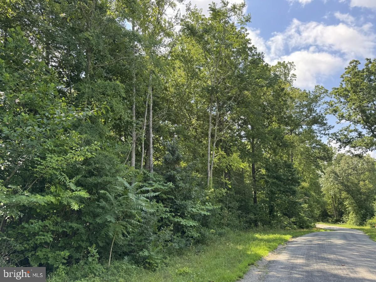 0 FISH RD, EMPORIA, Virginia 23847, ,Land,For sale,0 FISH RD,VAGE2000018 MLS # VAGE2000018