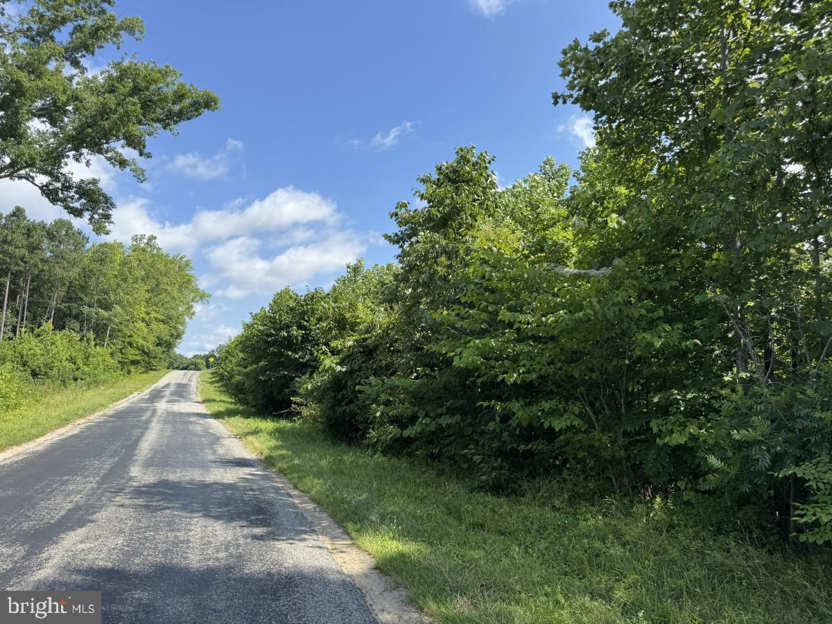 0 FISH RD, EMPORIA, Virginia 23847, ,Land,For sale,0 FISH RD,VAGE2000018 MLS # VAGE2000018