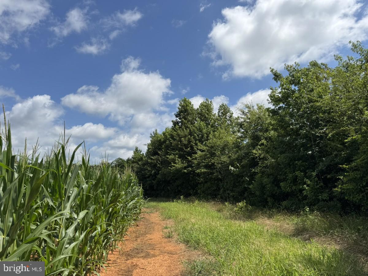 0 FISH RD, EMPORIA, Virginia 23847, ,Land,For sale,0 FISH RD,VAGE2000018 MLS # VAGE2000018