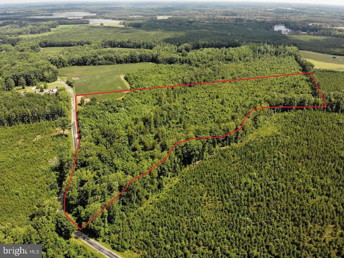 0 FISH RD, EMPORIA, Virginia 23847, ,Land,For sale,0 FISH RD,VAGE2000018 MLS # VAGE2000018