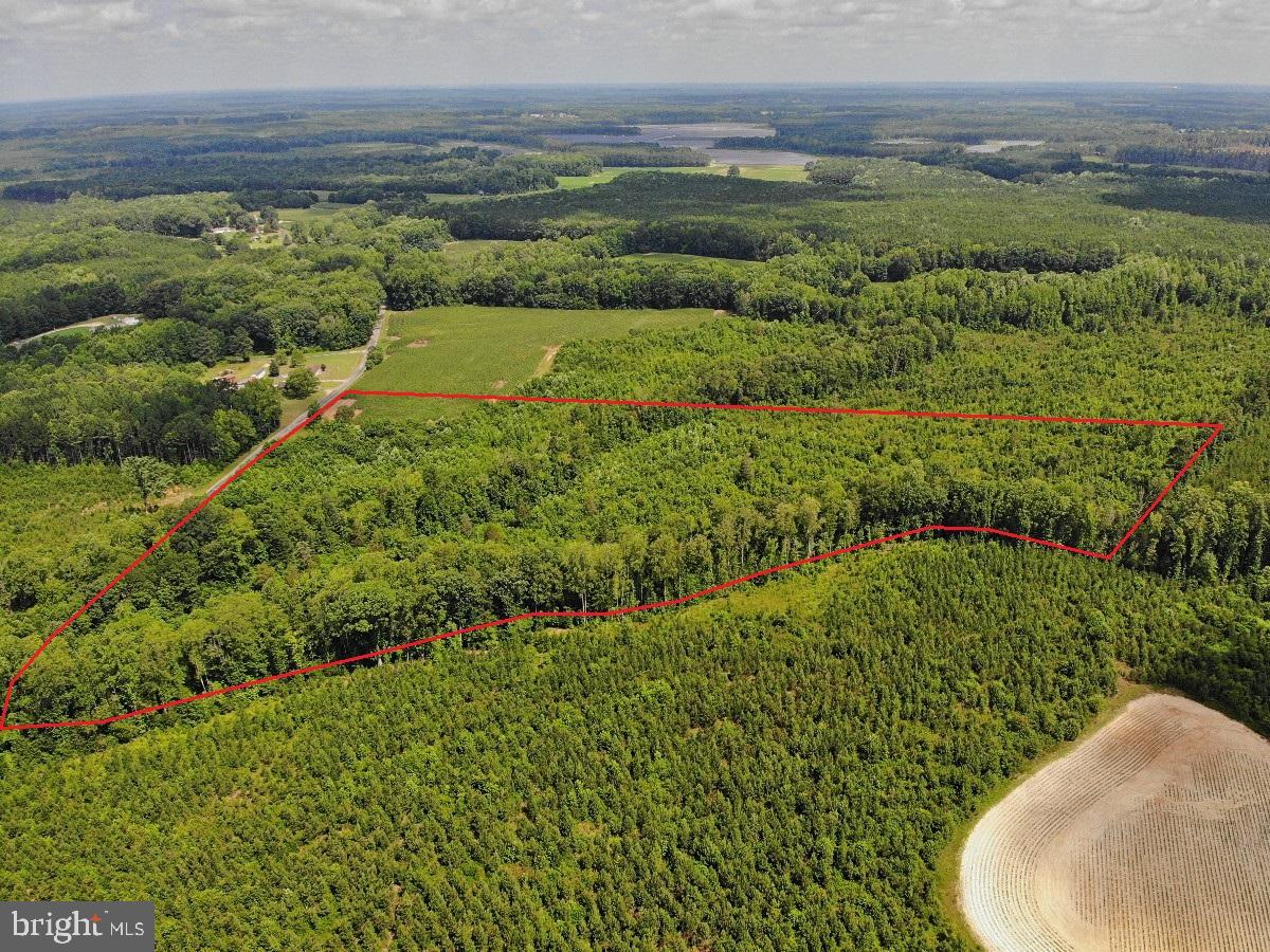 0 FISH RD, EMPORIA, Virginia 23847, ,Land,For sale,0 FISH RD,VAGE2000018 MLS # VAGE2000018