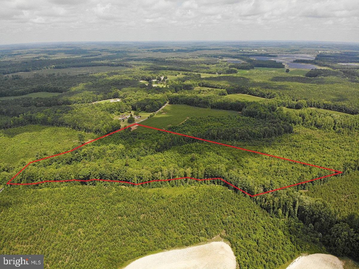 0 FISH RD, EMPORIA, Virginia 23847, ,Land,For sale,0 FISH RD,VAGE2000018 MLS # VAGE2000018