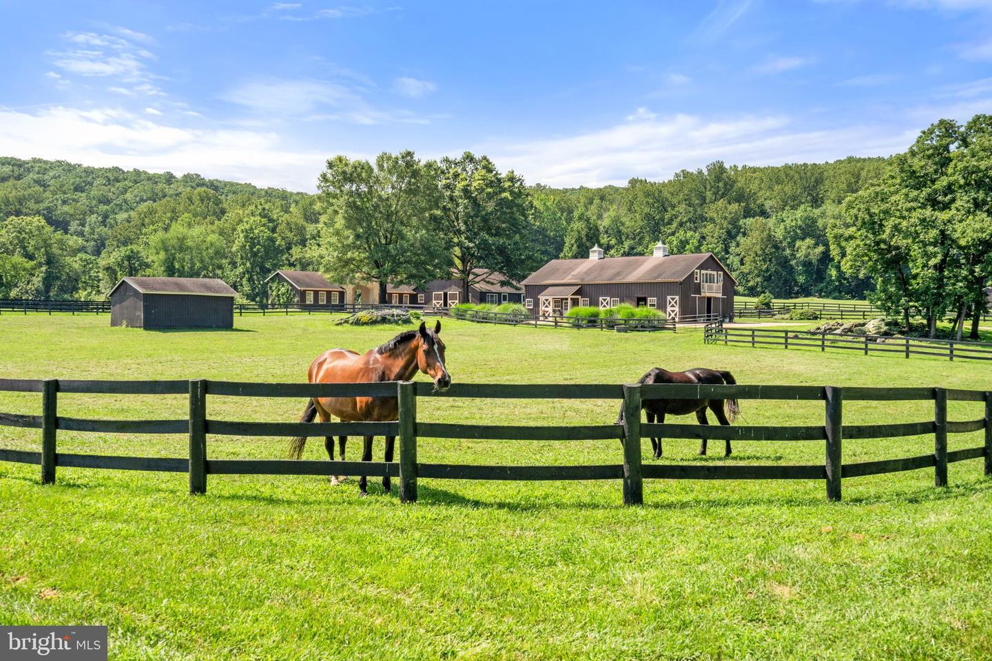 6289 COON TREE RD, THE PLAINS, Virginia 20198, 2 Bedrooms Bedrooms, ,2 BathroomsBathrooms,Residential,For sale,6289 COON TREE RD,VAFQ2017262 MLS # VAFQ2017262