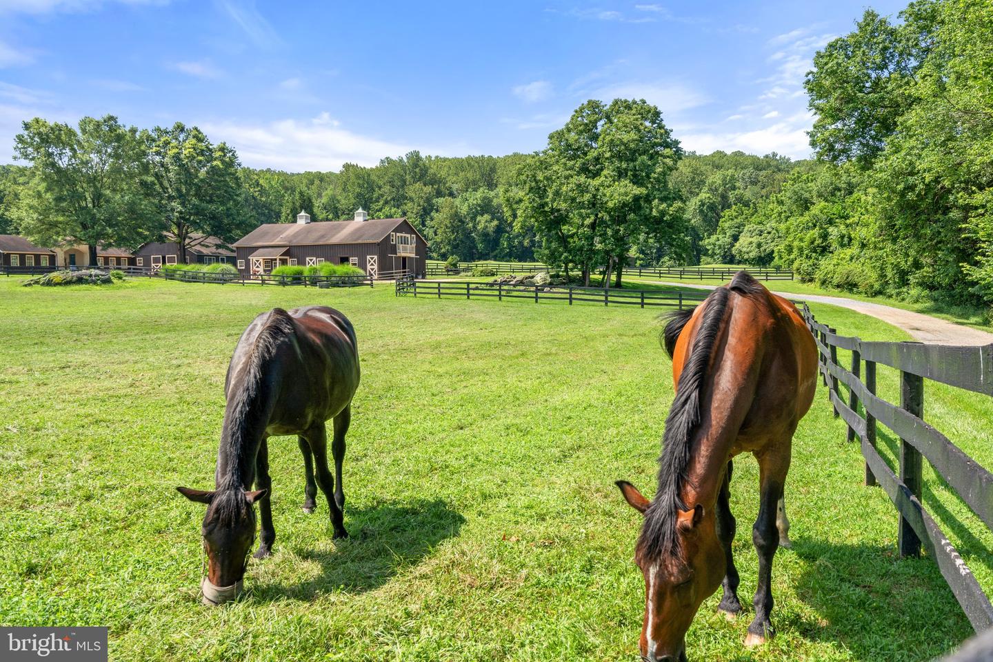 6289 COON TREE RD, THE PLAINS, Virginia 20198, 2 Bedrooms Bedrooms, ,2 BathroomsBathrooms,Residential,For sale,6289 COON TREE RD,VAFQ2017262 MLS # VAFQ2017262