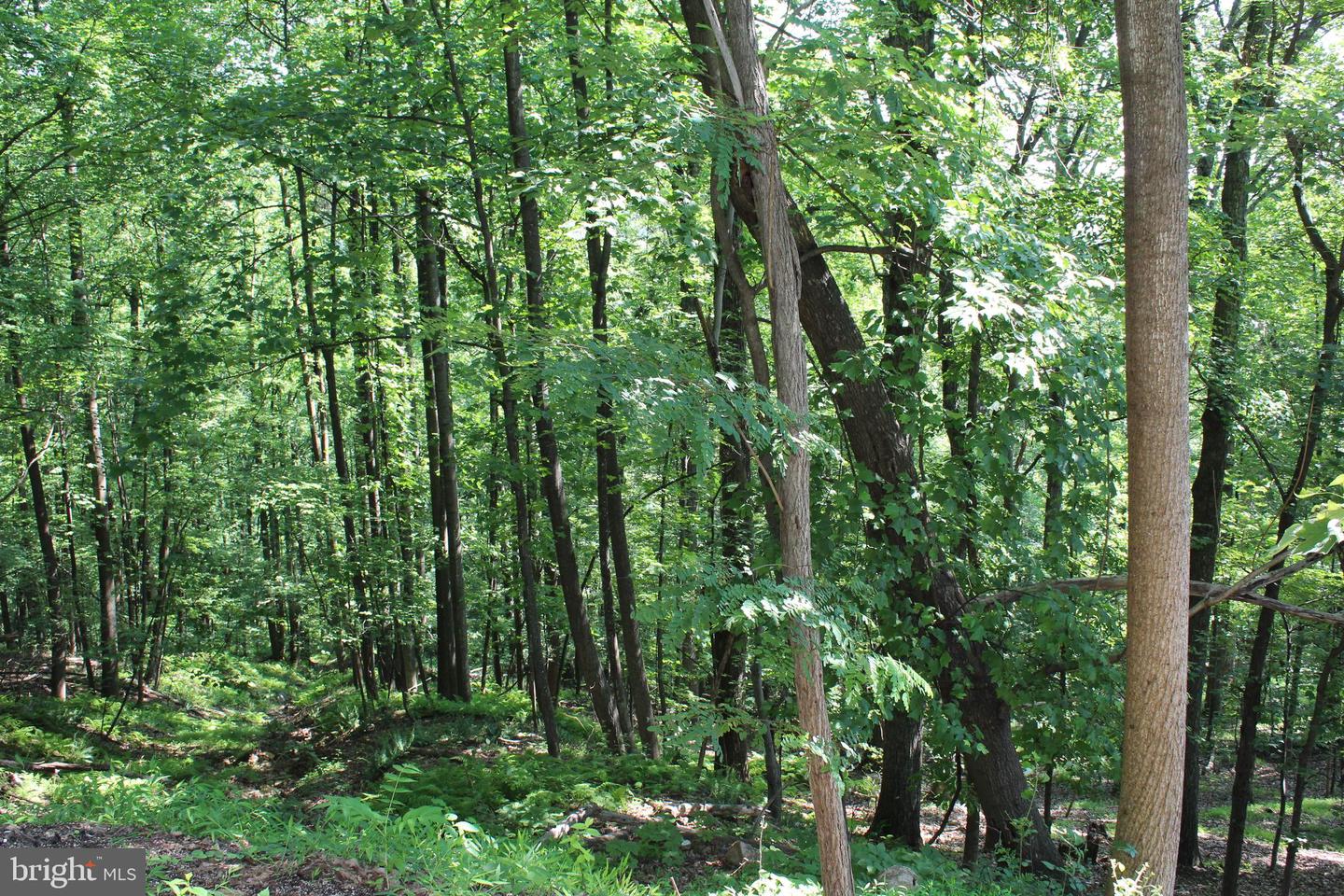 1507 SUMMIT DR, HAYMARKET, Virginia 20169, ,Land,For sale,1507 SUMMIT DR,VAPW2098682 MLS # VAPW2098682