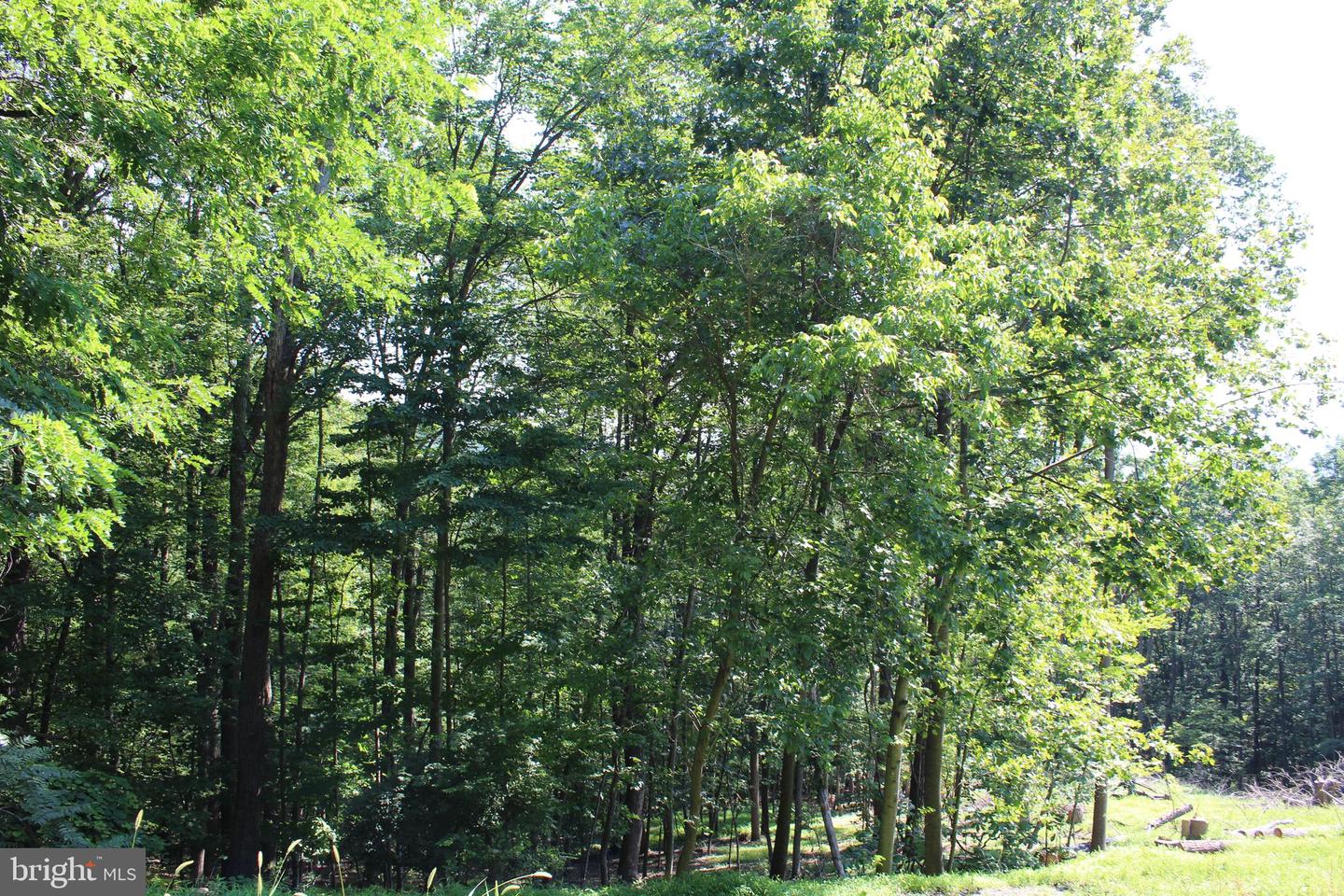 1507 SUMMIT DR, HAYMARKET, Virginia 20169, ,Land,For sale,1507 SUMMIT DR,VAPW2098682 MLS # VAPW2098682