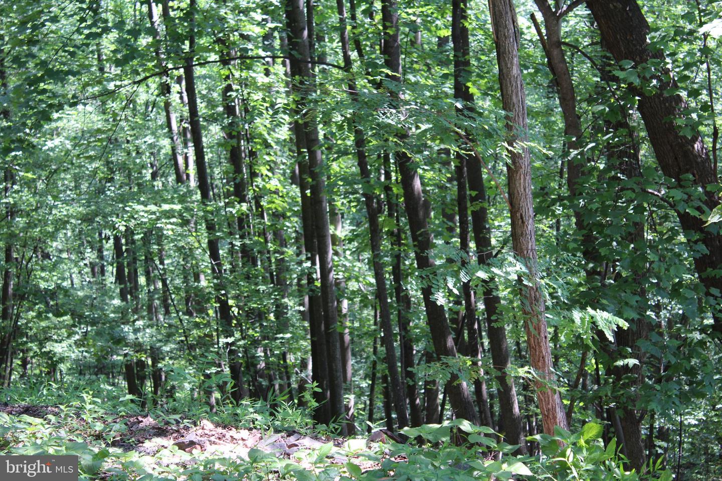 1507 SUMMIT DR, HAYMARKET, Virginia 20169, ,Land,For sale,1507 SUMMIT DR,VAPW2098682 MLS # VAPW2098682