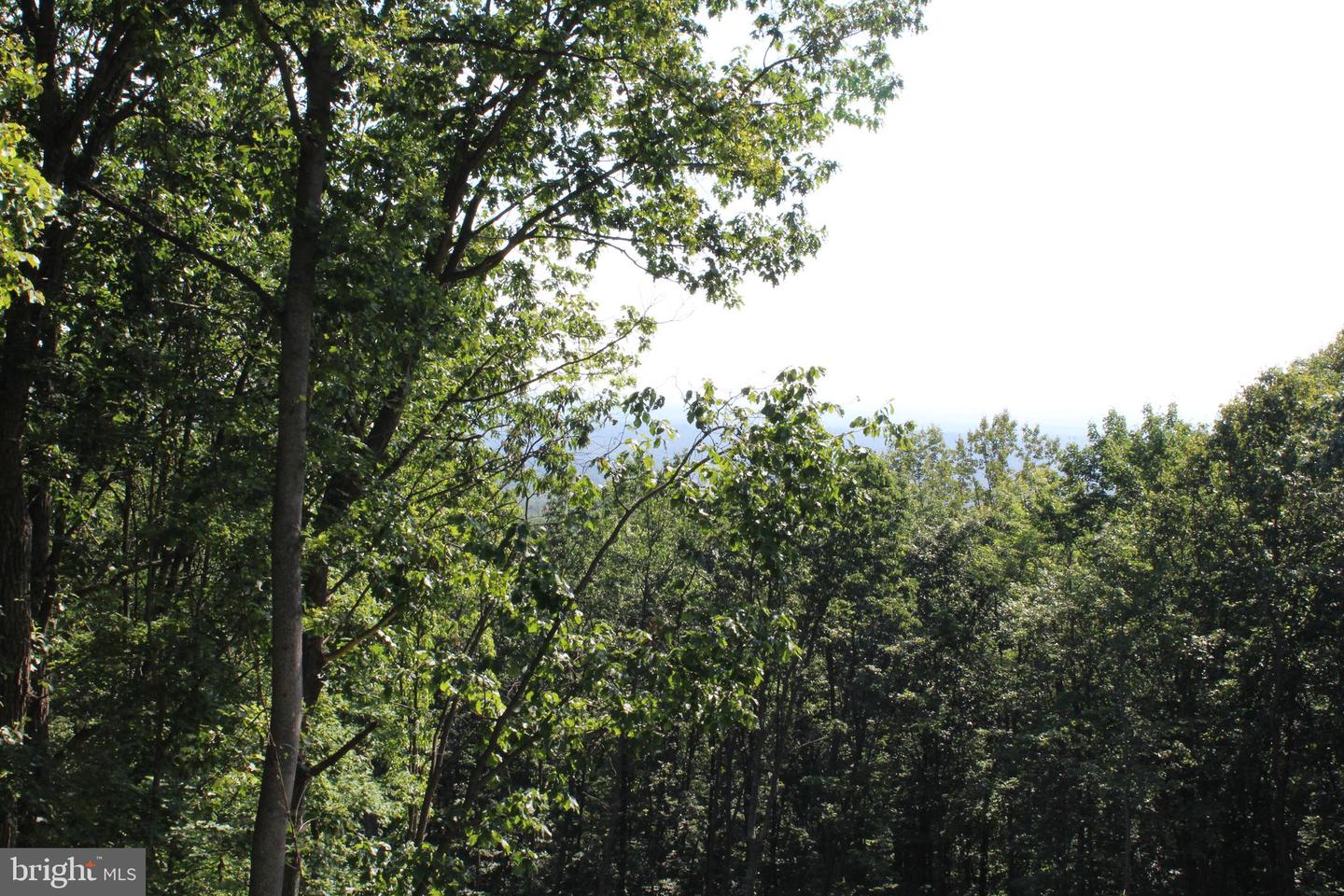 1507 SUMMIT DR, HAYMARKET, Virginia 20169, ,Land,For sale,1507 SUMMIT DR,VAPW2098682 MLS # VAPW2098682