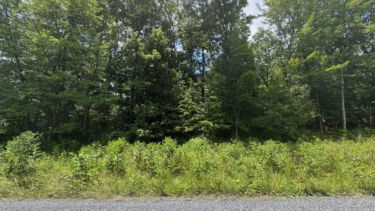TBD HUNTER RD, MAURERTOWN, Virginia 22644, ,Land,TBD HUNTER RD,666527 MLS # 666527