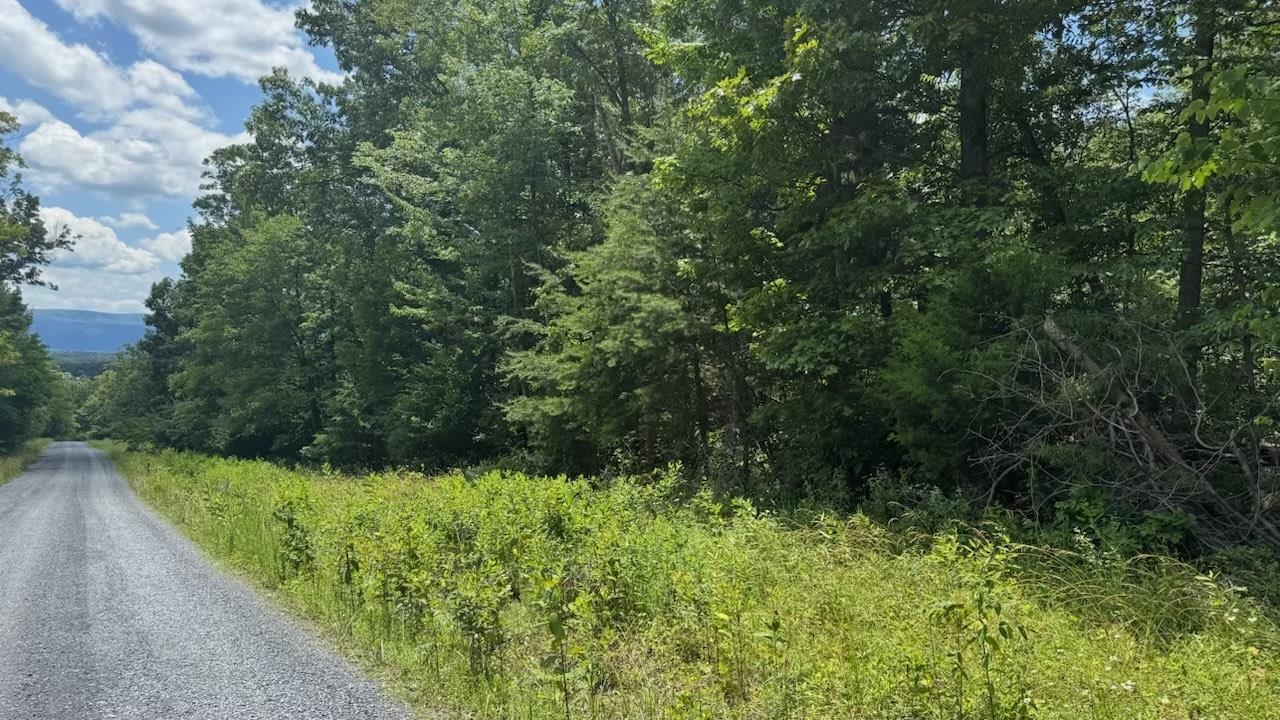 TBD HUNTER RD, MAURERTOWN, Virginia 22644, ,Land,TBD HUNTER RD,666527 MLS # 666527
