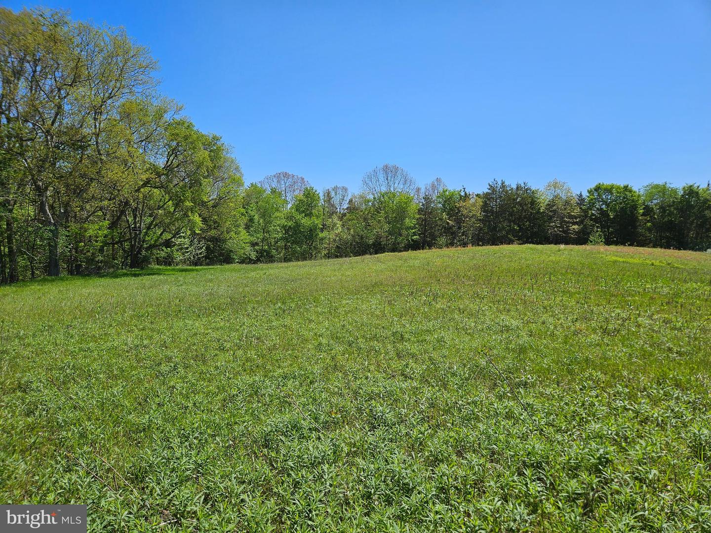 522 SAYLERS HILL DR, RICE, Virginia 23966, 3 Bedrooms Bedrooms, 7 Rooms Rooms,2 BathroomsBathrooms,Residential,For sale,522 SAYLERS HILL DR,VAPE2000090 MLS # VAPE2000090
