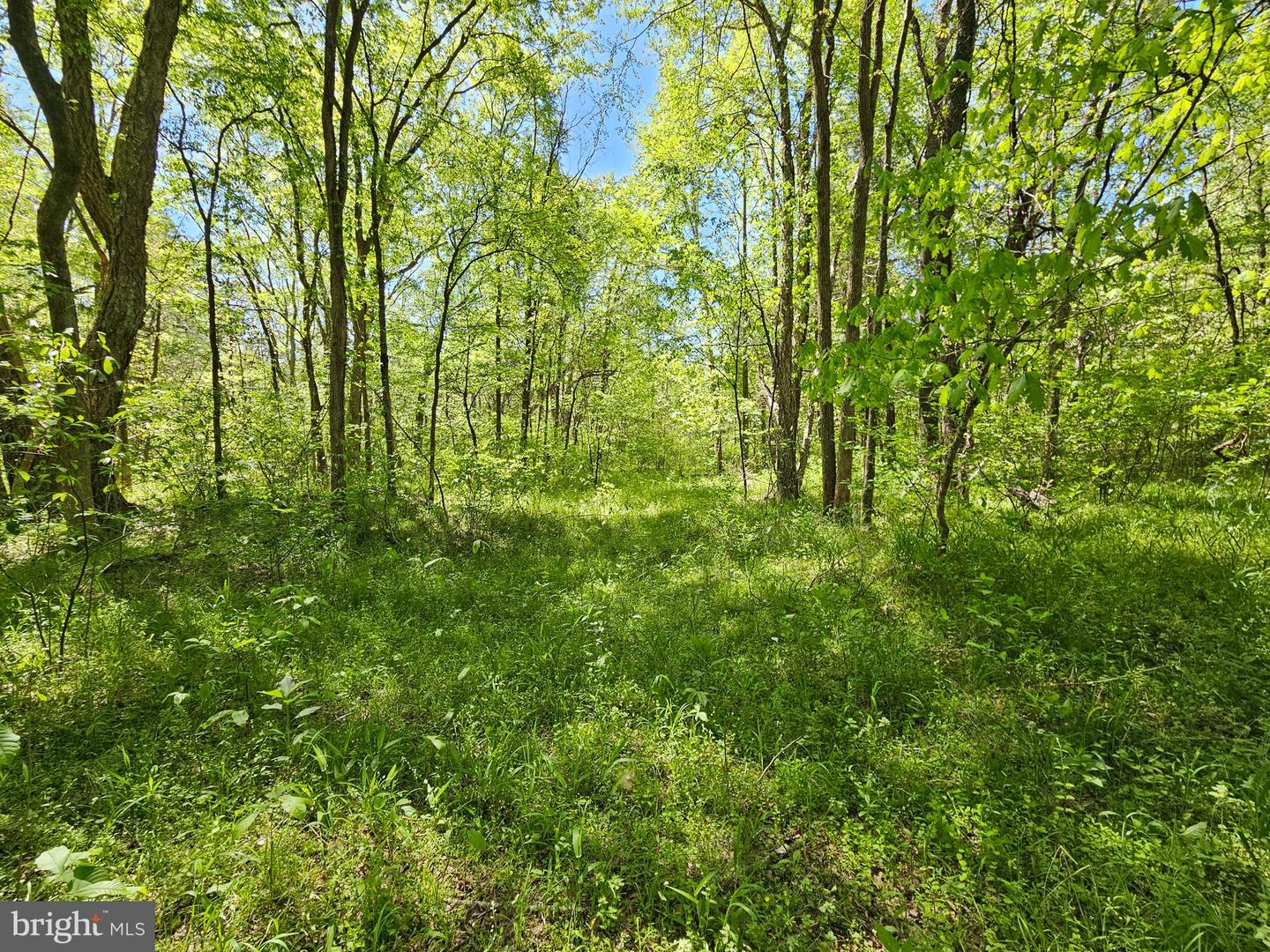 522 SAYLERS HILL DR, RICE, Virginia 23966, 3 Bedrooms Bedrooms, 7 Rooms Rooms,2 BathroomsBathrooms,Residential,For sale,522 SAYLERS HILL DR,VAPE2000090 MLS # VAPE2000090