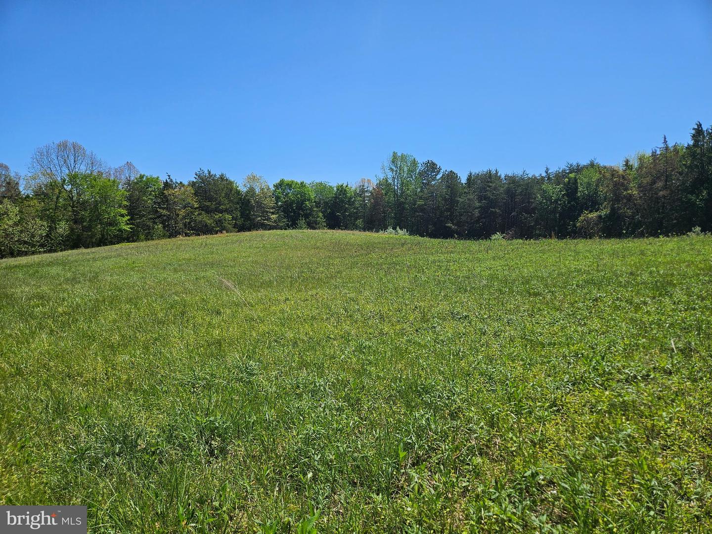 522 SAYLERS HILL DR, RICE, Virginia 23966, 3 Bedrooms Bedrooms, 7 Rooms Rooms,2 BathroomsBathrooms,Residential,For sale,522 SAYLERS HILL DR,VAPE2000090 MLS # VAPE2000090