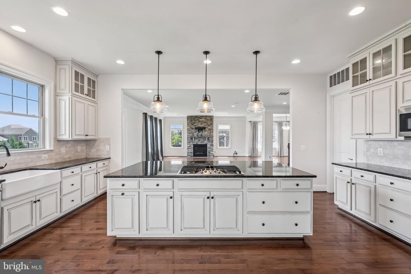 41594 HEPATICA CT, ASHBURN, Virginia 20148, 7 Bedrooms Bedrooms, ,5 BathroomsBathrooms,Residential,For sale,41594 HEPATICA CT,VALO2100866 MLS # VALO2100866