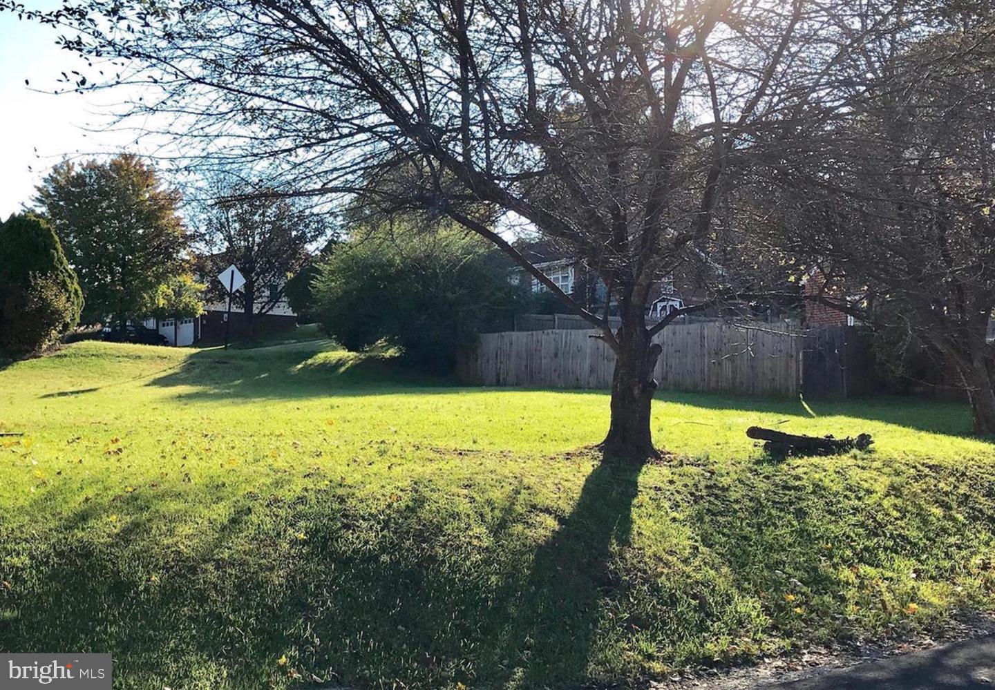 POLK AVE, FRONT ROYAL, Virginia 22630, ,Land,For sale,POLK AVE,VAWR2010912 MLS # VAWR2010912