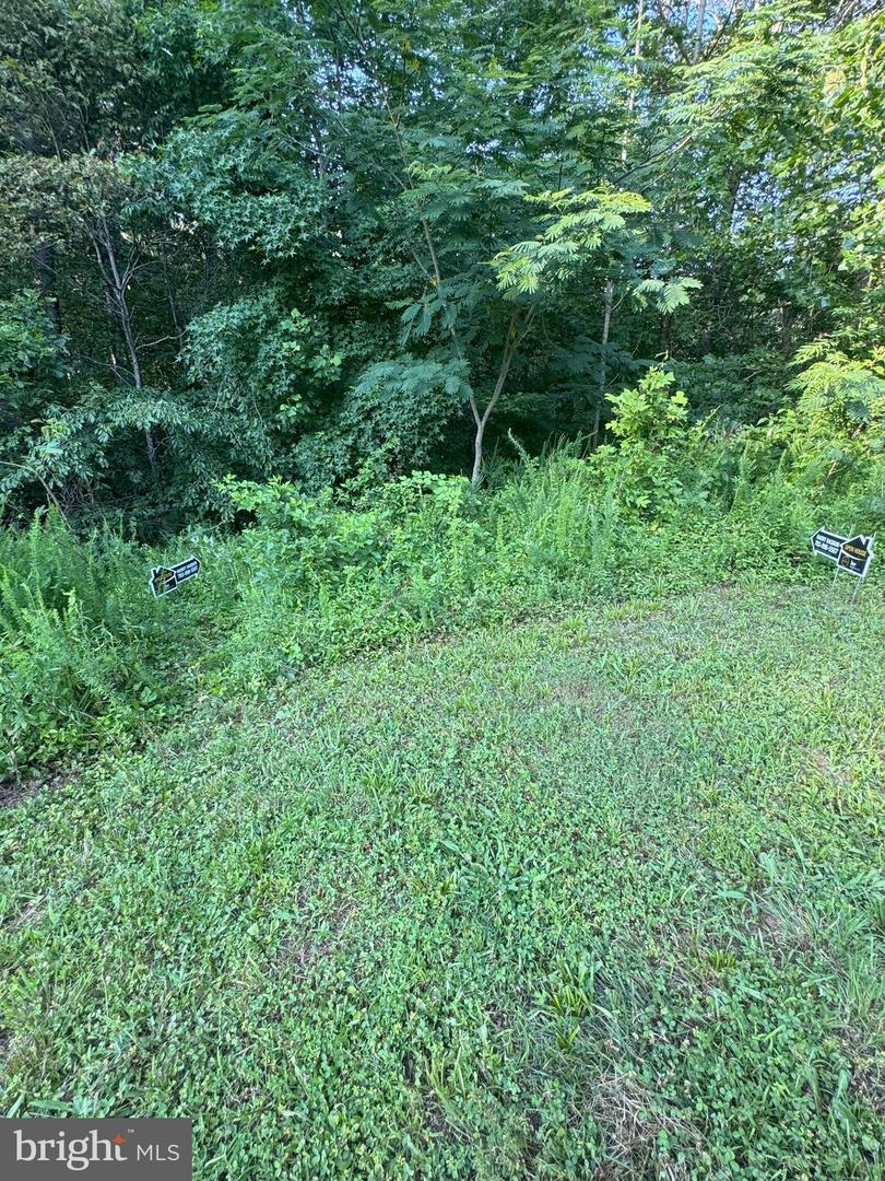 17429 JOPLIN RD, TRIANGLE, Virginia 22172, ,Land,For sale,17429 JOPLIN RD,VAPW2098746 MLS # VAPW2098746