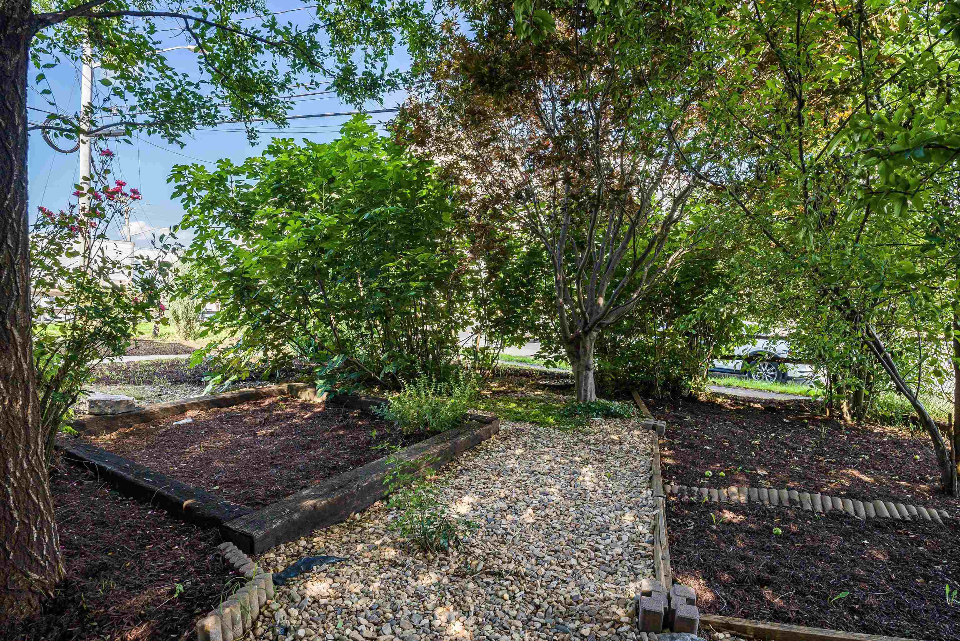 459 N LIBERTY ST, HARRISONBURG, Virginia 22802, 3 Bedrooms Bedrooms, ,2 BathroomsBathrooms,Residential,459 N LIBERTY ST,666538 MLS # 666538