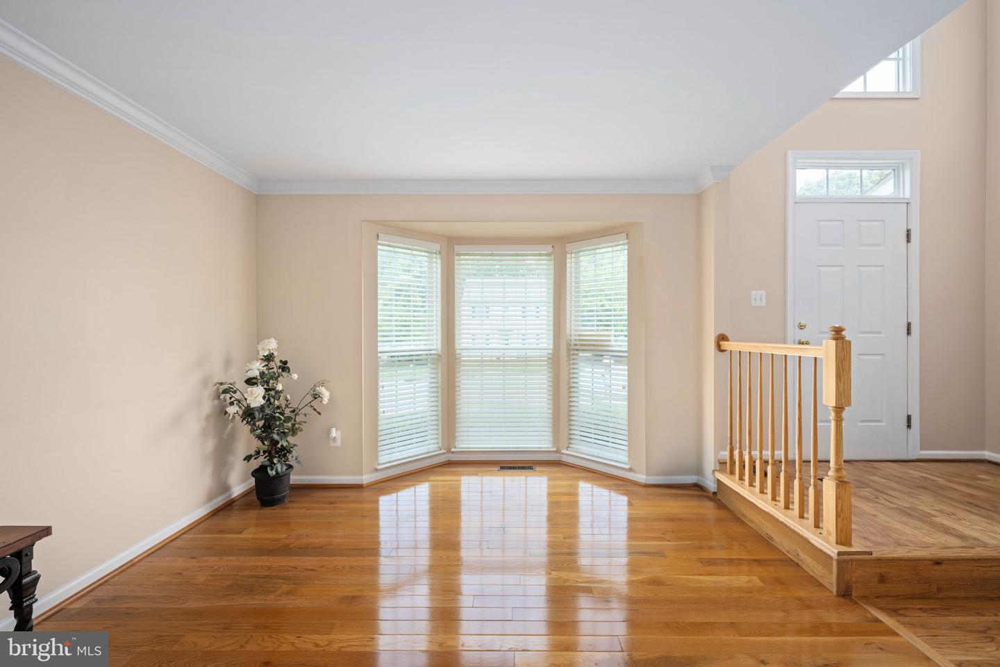 18 EMERALD DR, FREDERICKSBURG, Virginia 22406, 4 Bedrooms Bedrooms, ,2 BathroomsBathrooms,Residential,For sale,18 EMERALD DR,VAST2039598 MLS # VAST2039598
